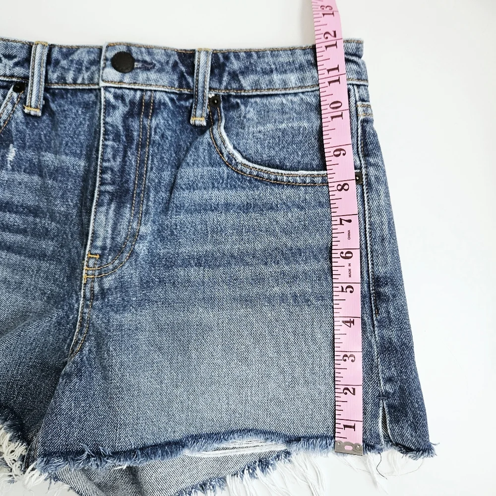 Alexander Wang Bite Denim Shorts 28